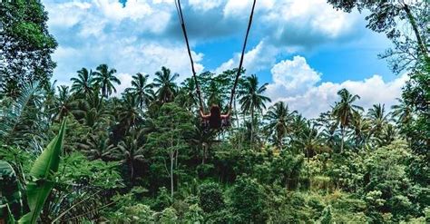 Top 6 Places To Visit Near Puri Lukisan Museum Bali In October 2026