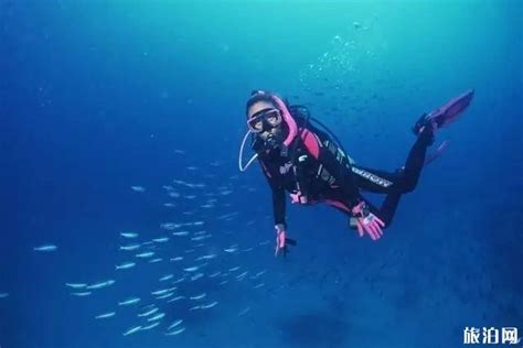 環境圧潜水（軟式潜水） | 初めてのシュノーケリング ダイビングファン【図解】