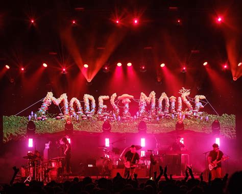 Modest Mouse Live Performances 的图像结果