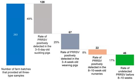 Prevalence, Time of Infection, and Diversity of Porcine Reproductive and Respiratory Syndrome ...