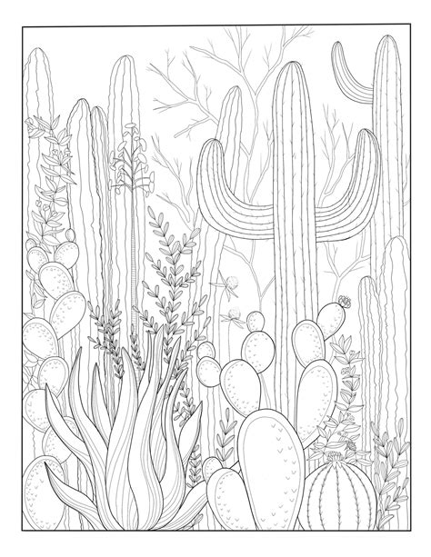 Desert Coloring Page Printable