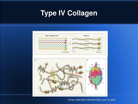 Video Example of Case Conference with Cyw 的图像结果