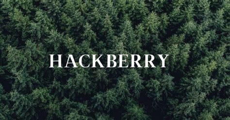 Image result for Hackberry Tree Uses