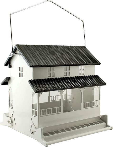 Amazon.com : Audubon Bird's Delight Squirrel Resistant Bird Feeder ...