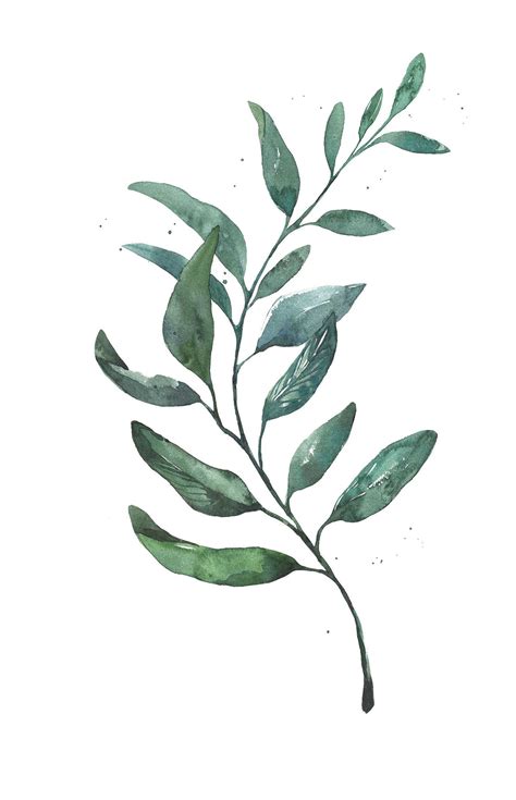 Watercolor leaf Watercolor Leaf, Watercolor Flowers, Watercolor ...