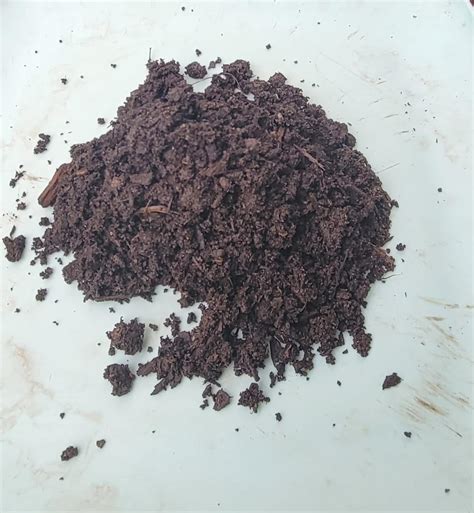Compost/Soil 的图像结果