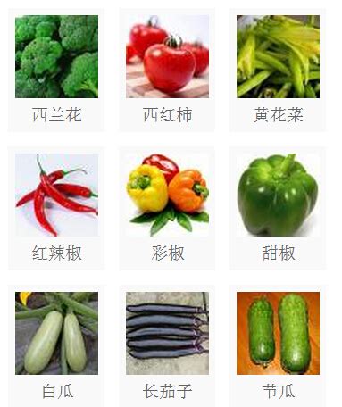 蔬菜分类大全_蔬菜分类大全：1-6楼：根茎类7-12楼：茎叶_宝宝树
