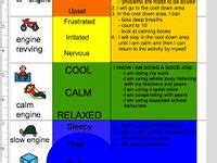 Image result for Alert Program for Regulation