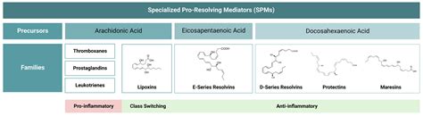 The Use of Specialized Pro-Resolving Mediators in Biomaterial-Based ...
