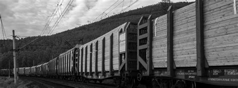 Image result for Transles