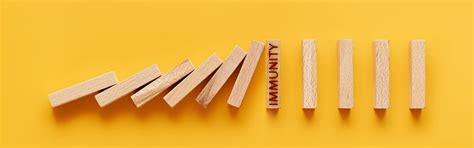 Worried about your immunity? Relax. The Ministry Of Nuts Is Here ...