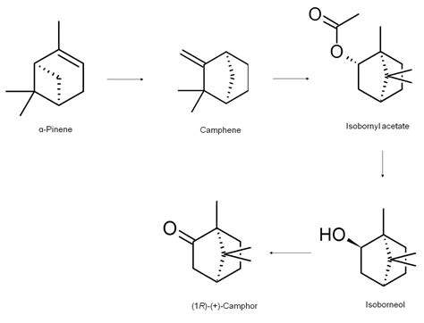 Conversion Of Borneol To Camphor Mechanism