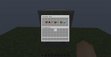 Image result for Duplication Glitch 1.16.3 Java