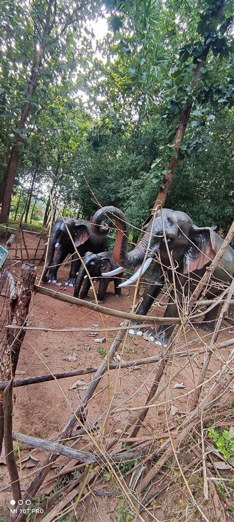 The Best Daringbadi Camping 2025 (with Prices) - Tripadvisor