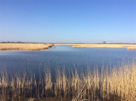 Beckley Tourism (2023): Best of Beckley, England - Tripadvisor