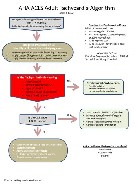 Tachycardia Algorithm 的图像结果