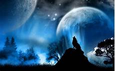 3d Moon Wallpaper by 3d Forest In Moon Galaxy New Xp Wallpapers 3d Moon Wallpaper