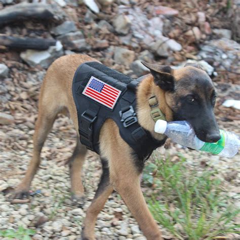 Buy Tactical K9 Dog Harness with Handle No-pull Large Dog Vest+Leash US ...