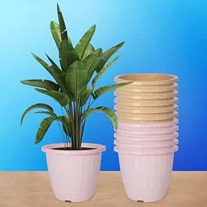 Kuber Industries Pack of 12 Flower Pot | Flower Pot for Living Room ...