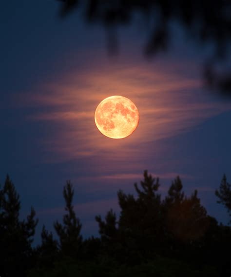 Full Orange Moon