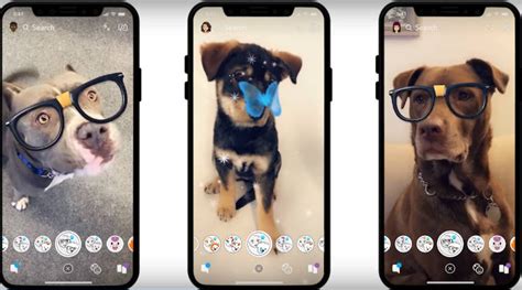 Snapchat introduces Dog Lenses, here's how to use | Technology News ...