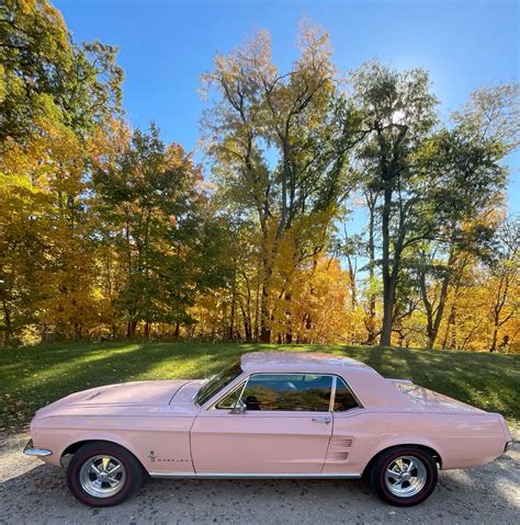 46 Pink mustang ideas | pink mustang, mustang, dream cars