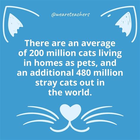 25 Cat Facts for Kids That Are Purrrfect for All Ages