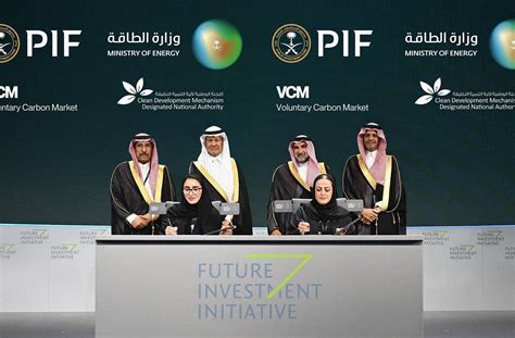 Regional Voluntary Carbon Market Company, Clean Development Mechanism ...