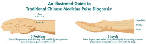 Image result for How to Read a Pulse Machine