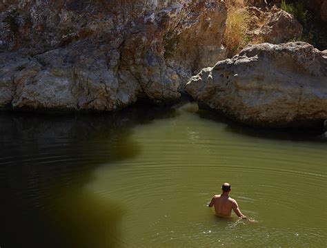 Nature Swim 的图像结果