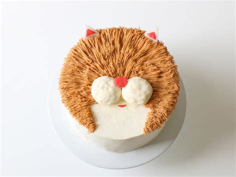 Sculpted Cat Cake Tutorial 的图像结果