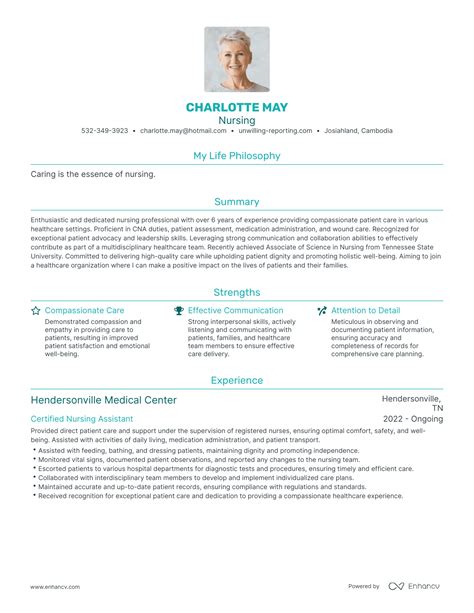 Nursing Resumes And Cover