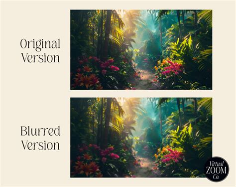 Meeting Background 的图像结果