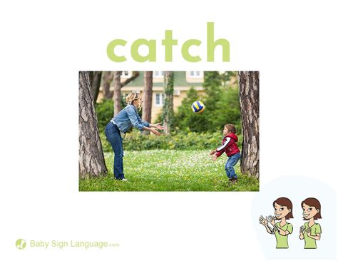 Catch Flash Card 的图像结果