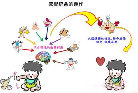 孩子感统失调怎么办？有哪些训练方法？-感统100网