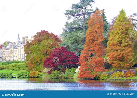 Sheffield park, UK stock photo. Image of landscape, trust - 199819204