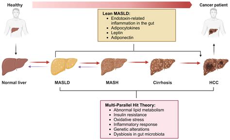 Crosstalk between Epigenetics and Metabolic Reprogramming in Metabolic ...