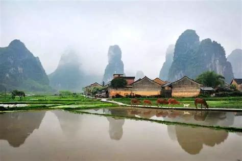 桂林雁山园,雁山区,景点(第2页)_大山谷图库