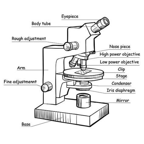 Image result for Condenser Microscope Function