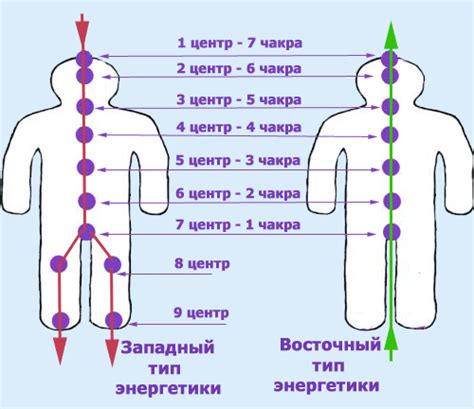 Два типа энергетики человека