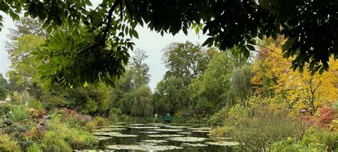 Secret Gardens of France: Botanical Beauty Across the Country - Hillw