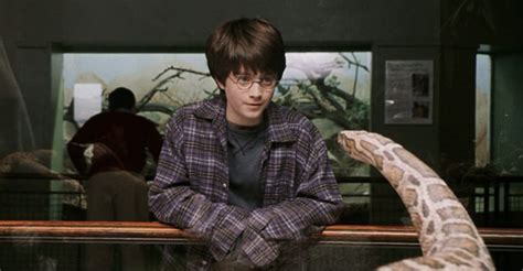 Python Tkinter Tutorial Code with Harry 的图像结果