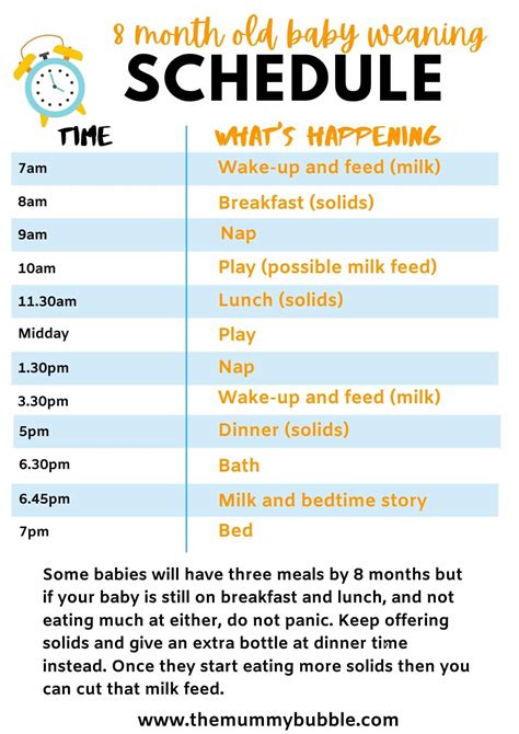 The Best 8 Month Old Baby Schedule - The Mummy Bubble