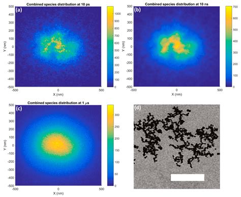 Gold Nanoparticle Enhanced Proton Therapy: Monte Carlo Modeling of ...