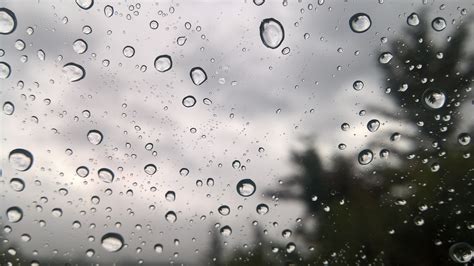 Rain vs. Showers Defined: What’s the difference? | RochesterFirst