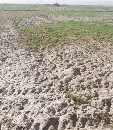 农家肥 的图像结果