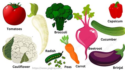 Image result for Vegetables Examples