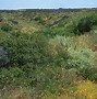 Image result for Chaparral Corral Panels
