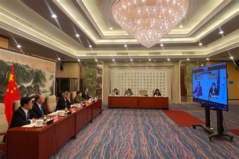 中意议会(众议院)合作委员会第六次会议以视频方式举行_中国人大网