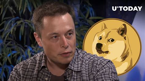 Breaking: Blow to Dogecoin (DOGE) as Musk Says He Will Step Down as ...